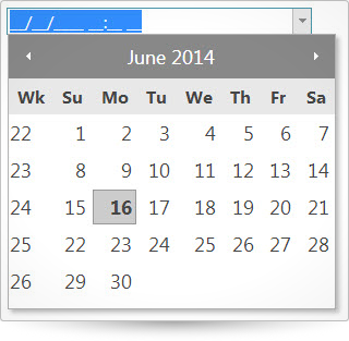 ui.igDatePicker_image